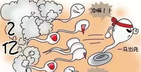 哈尔滨流产手术费用