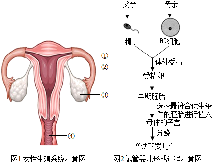 商品房大产权