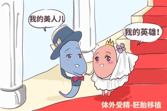 哈尔滨流产手术费用