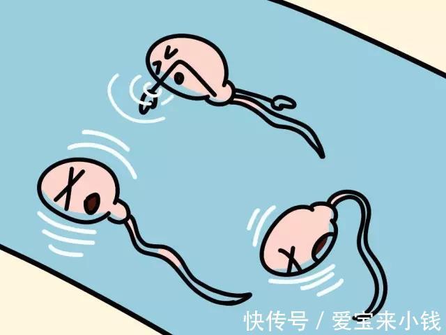 囊胚移植