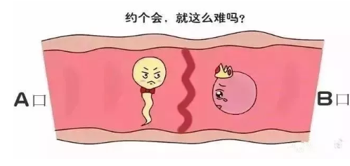 哄娃小妙招