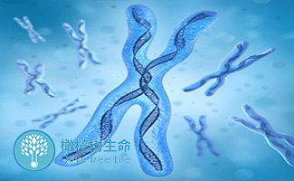 商住两用大产权