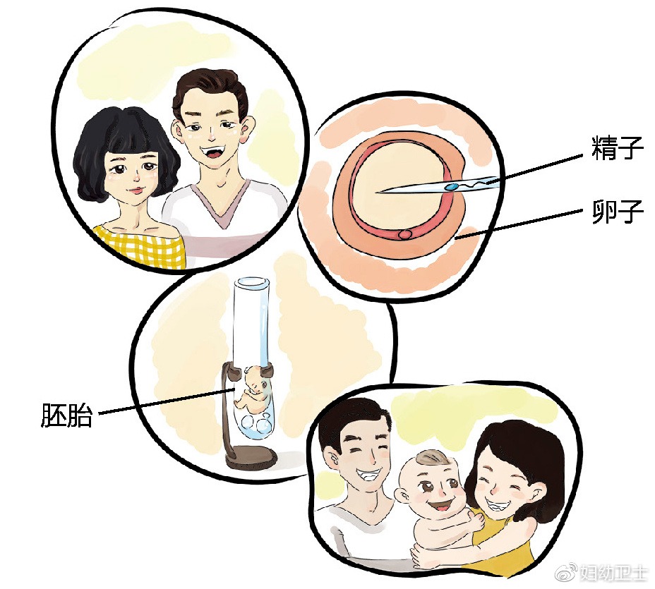国家营养师