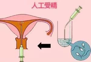 去医院做一个全身检查多少钱