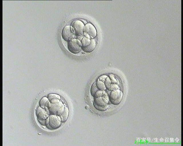 去医院做一个全身检查多少钱