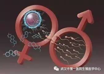 40几天的猫妈妈涨奶怎么办