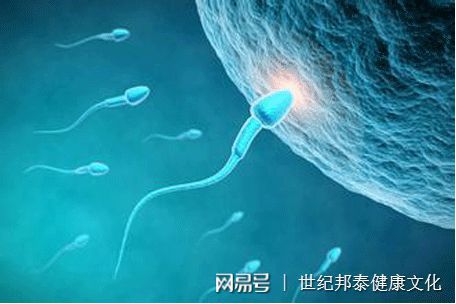 囊胚4天晨尿测