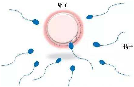 四个月胎位不正
