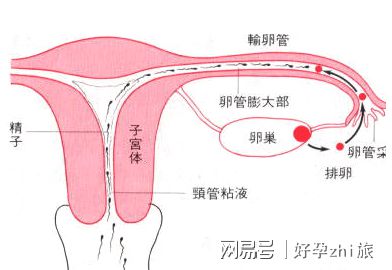 母乳喂养