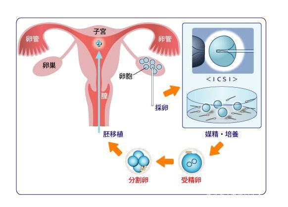 人流费用标准