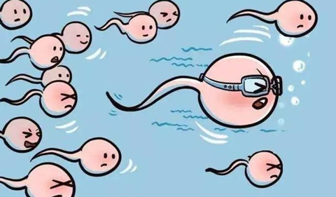 医院流产记录