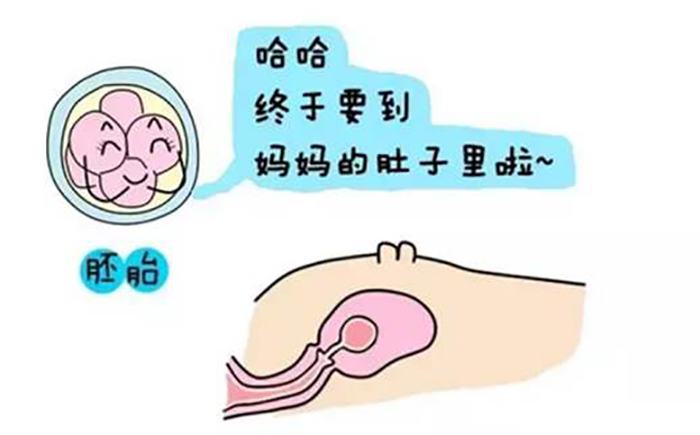 药物流产