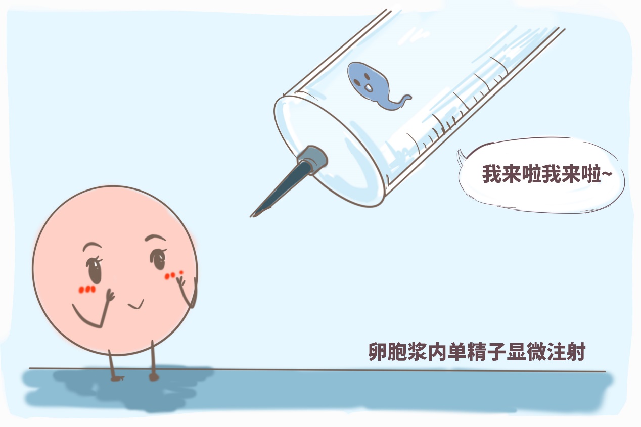 国产婴儿奶粉