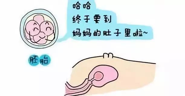 汉字