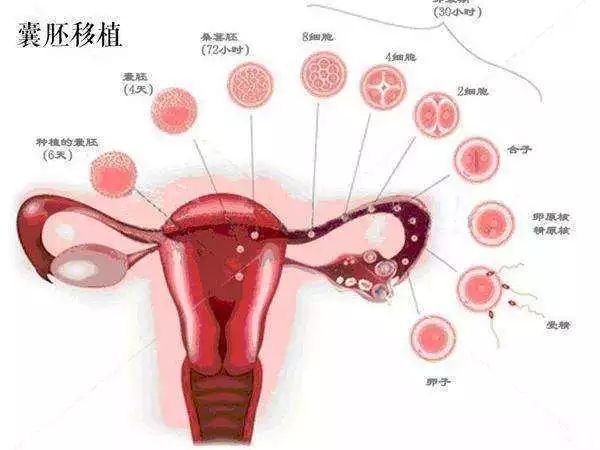 小产假期