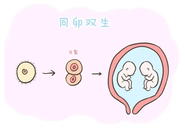 药流