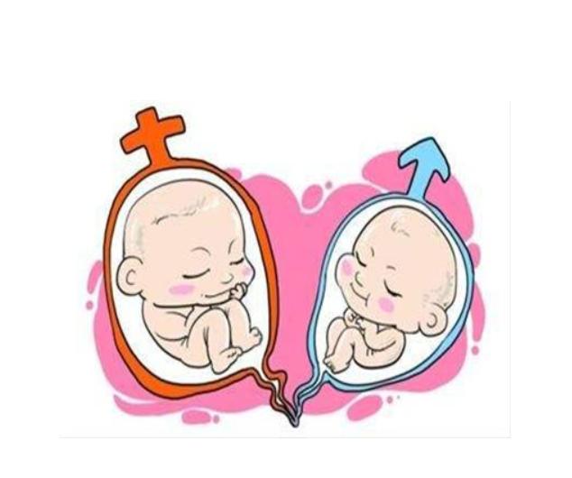 泉州试管婴儿