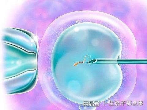 女性取卵费用