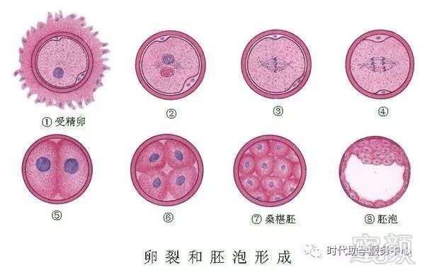 手术