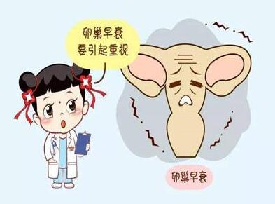 试管婴儿技术