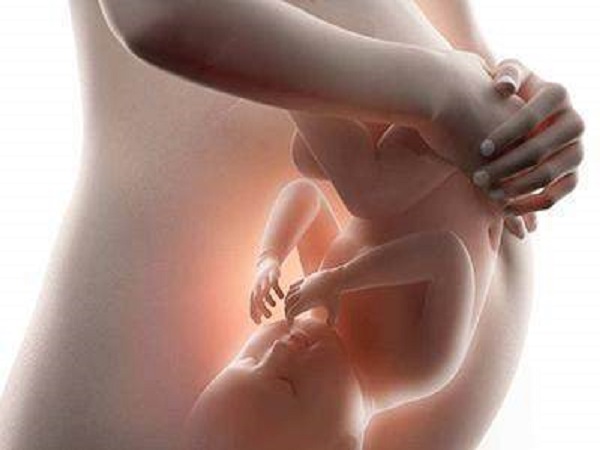 领养女宝宝