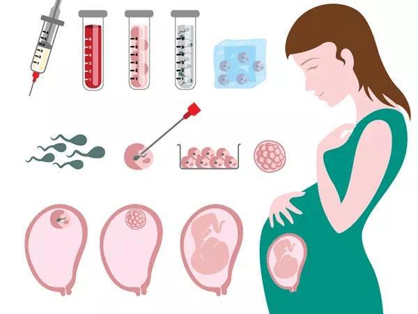女性生育能力