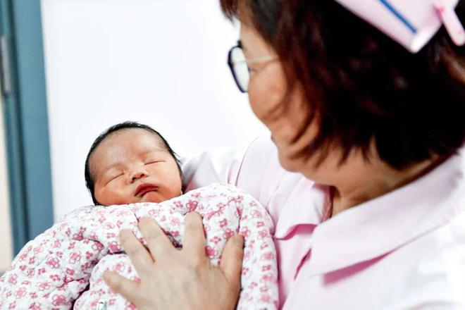 女性生理结构